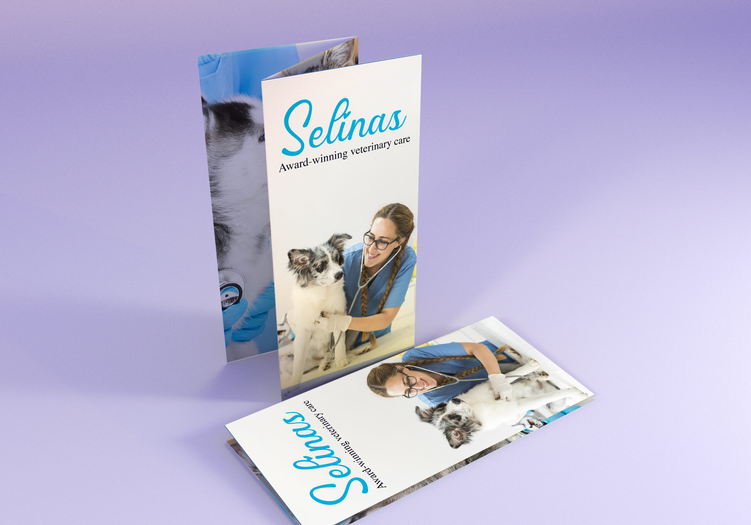 veterinary care Brochure
