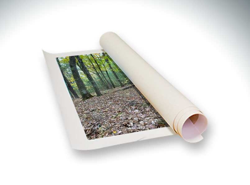 Canvas Printed on a roll